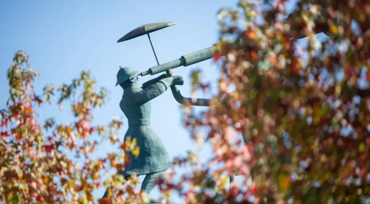 Cinco académicas UFRO liderarán proyectos con fondos que promueven el liderazgo femenino en ciencia