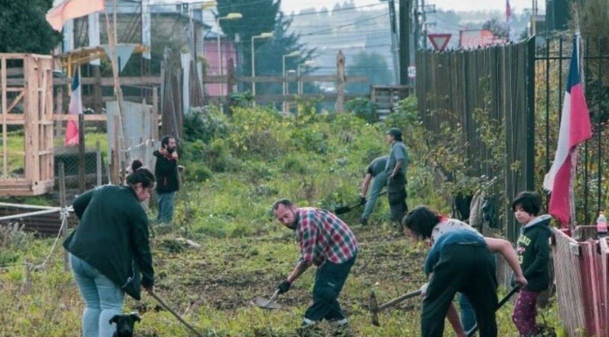 Investigadores_ULagos_publican_en_prestigiosa_revista_trabajo_sobre_retorno_de_las_tomas_de_terreno_en_Osorno