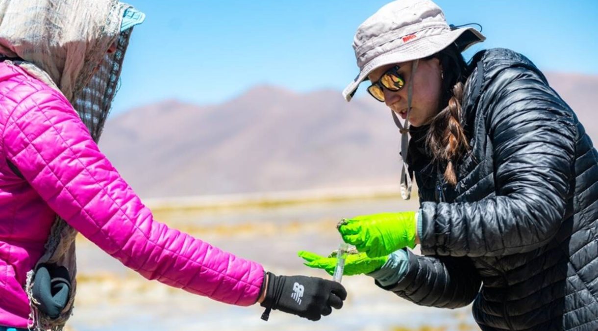 UFRO_colabora_en_proyecto_que_estudia_lagunas_y_salares_andinos_en_Chile