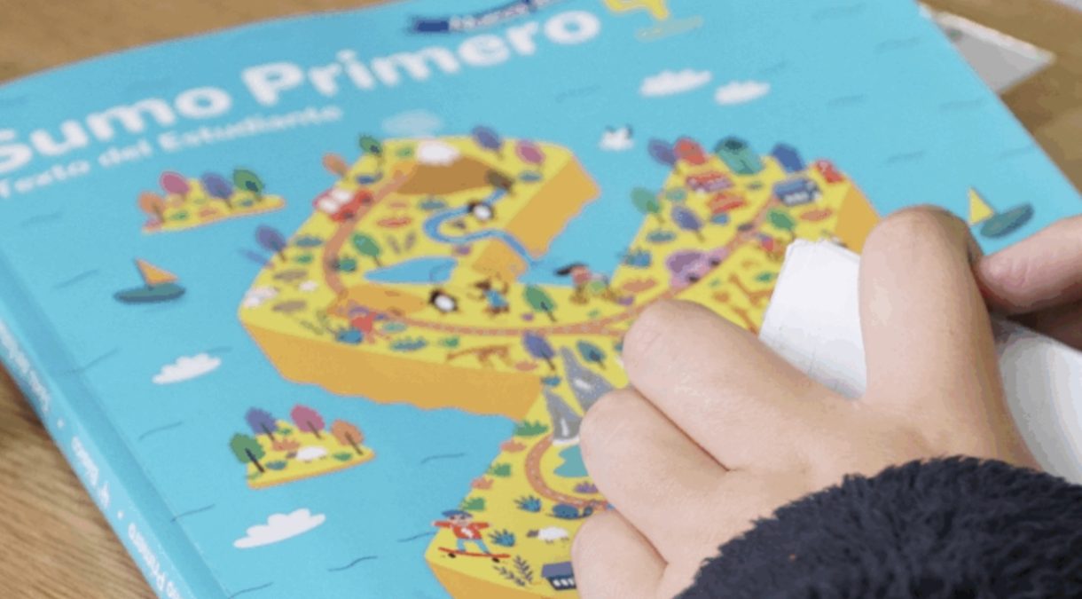 ULagos capacita a docentes de Chiloé en torno al Plan Nacional Sumo Primero