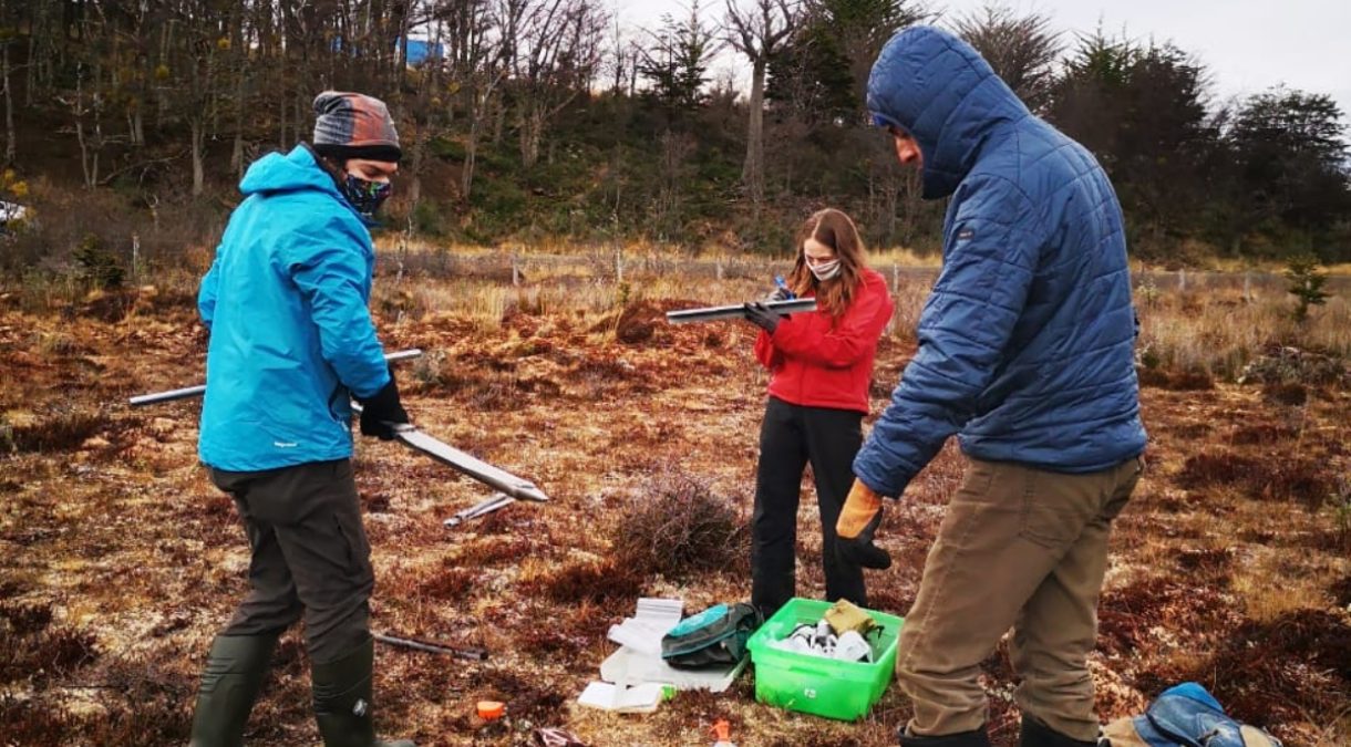 UMAG abre convocatoria a tesis de postgrado sobre turberas subantárticas con financiamiento Fondecyt