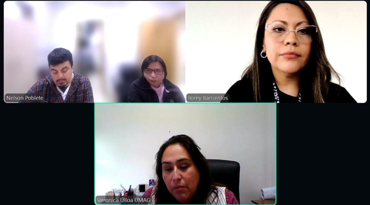 UMAG comparte innovador modelo de simulación clínica con la Universidad de Aysen