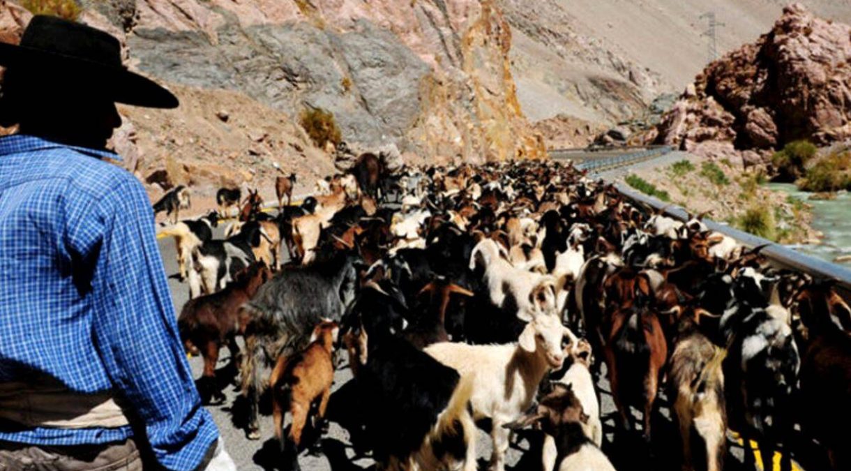 UTEM_participa_en_importante_proyecto_de_reforestaci__n_que_se_desarrolla_en_Coquimbo