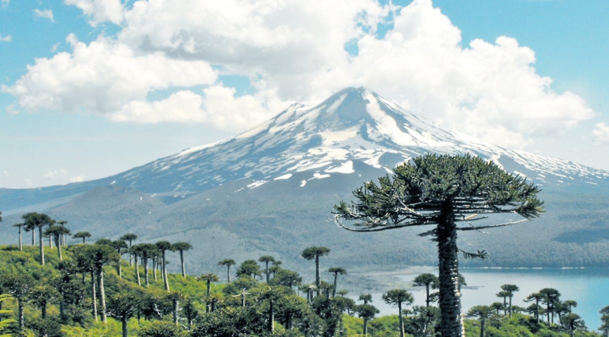 UTalca lanza proyecto para desarrollar Hidrógeno Verde en La Araucan