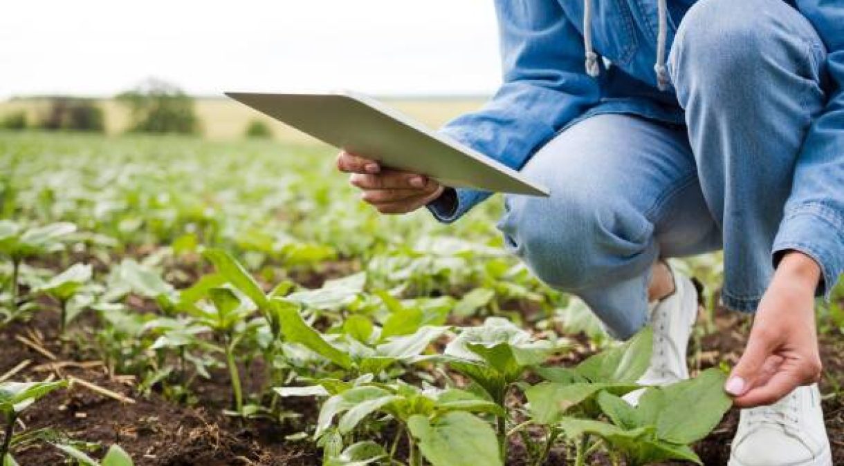 digitalizacion_utalca-600x338