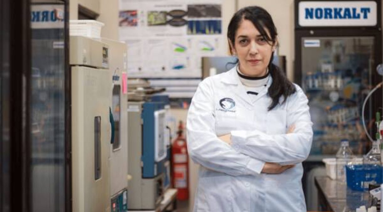 energia-limpia-desde-residuos-proyecto-usach-producir-hidrogeno-metano-verde-600x337