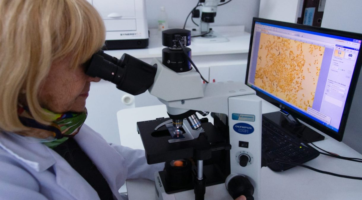 investigaciones gloria calaf2