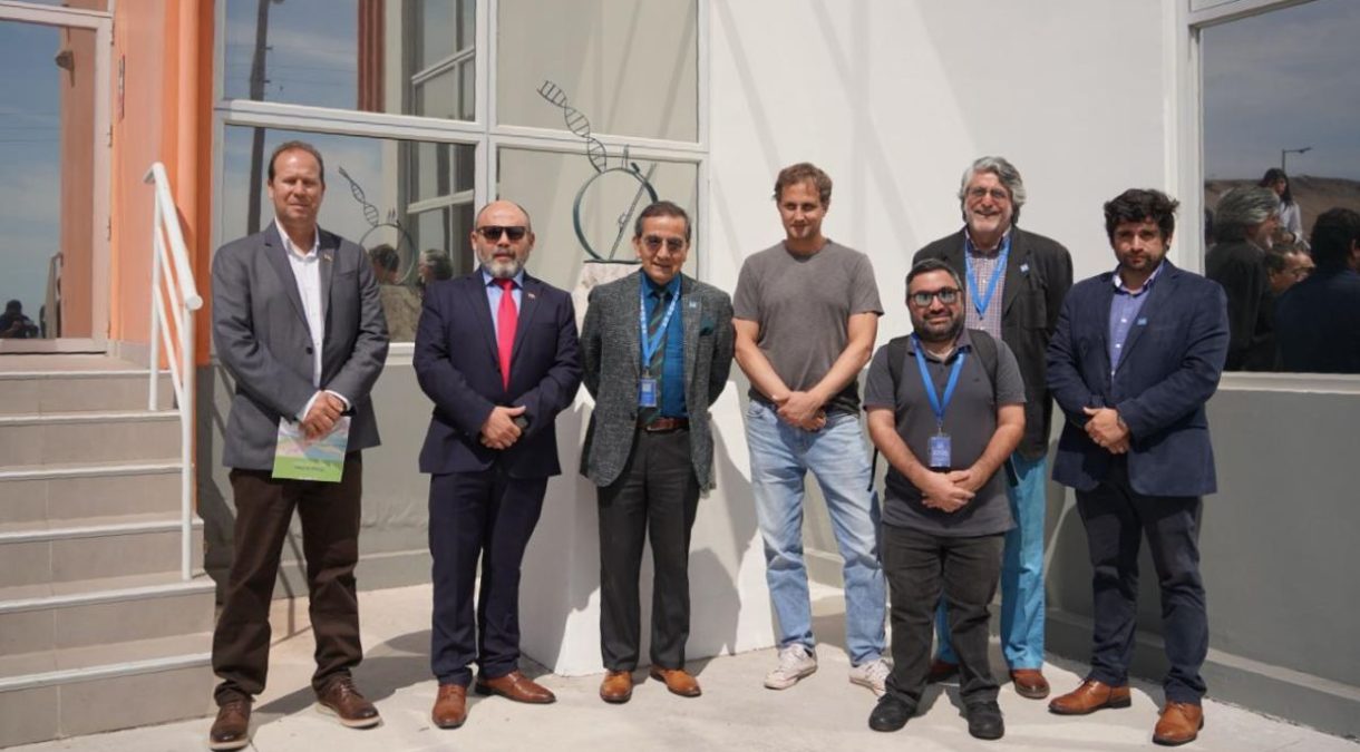 portada_ua_subseciencia