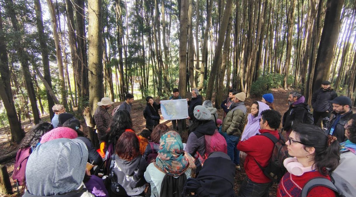 portada_ulagos_pluriversos