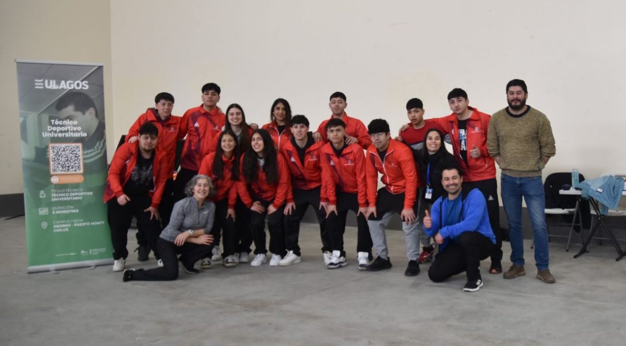 portada_ulagos_resinsercion