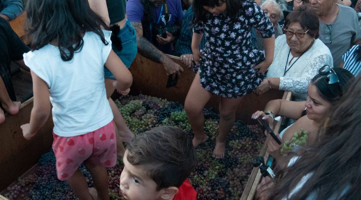 portada_unap_vendimia