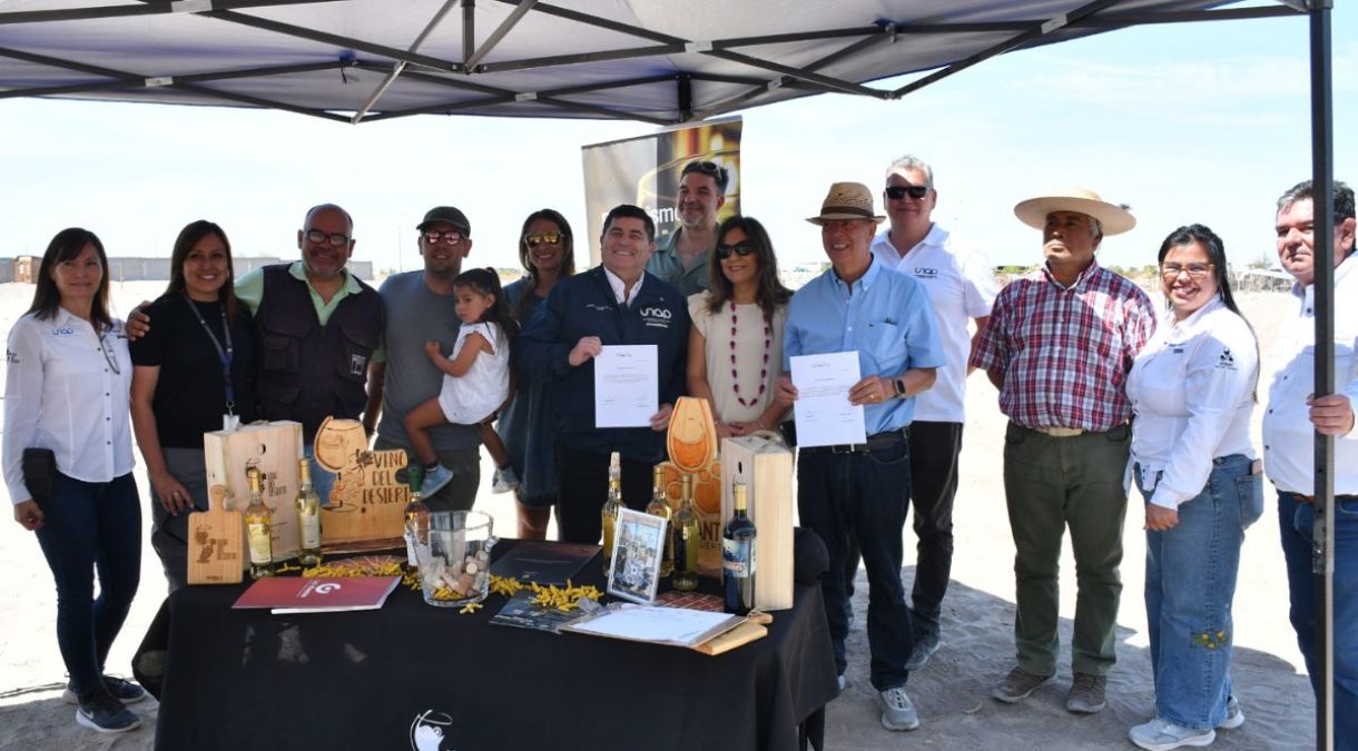 portada_unap_vitivinicultura