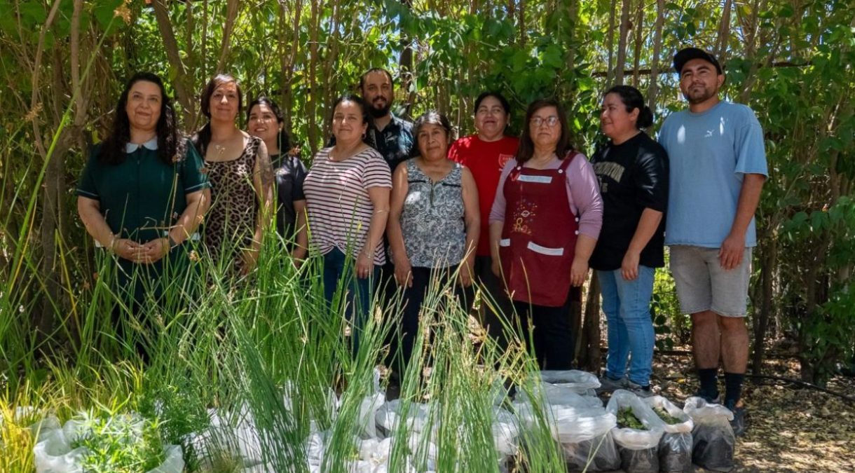 portada_uoh_humedales