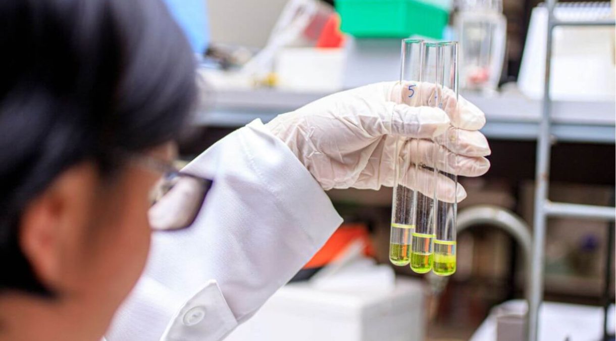 portada_utalca_inesgenero